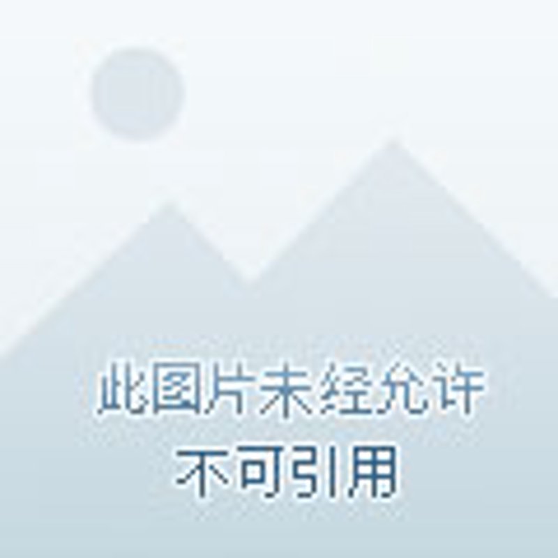 掌握长途汽车票查询技巧